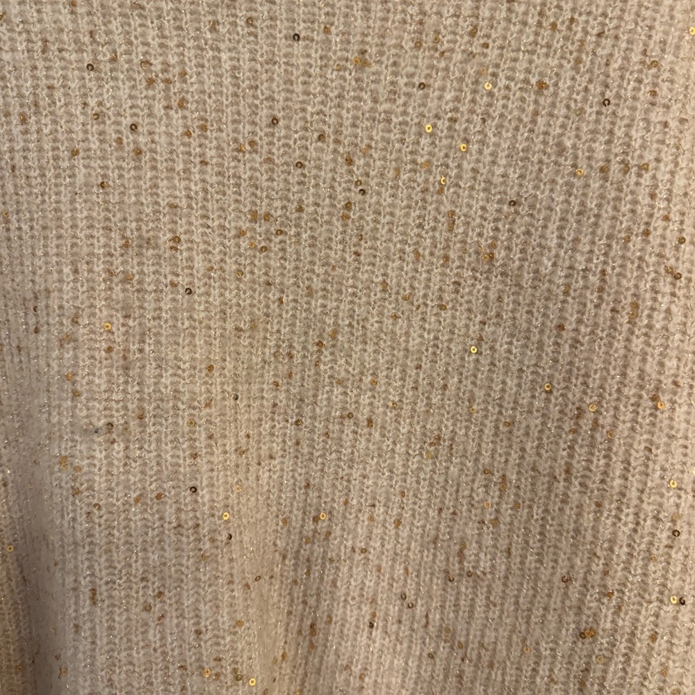 Express Sequin Sweater - Picture 2 of 3